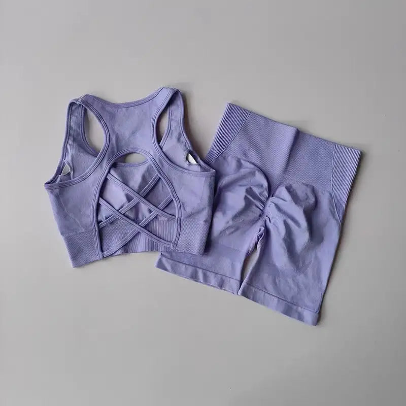 Conjunto feminino de 2 peças sem costuras — top desportivo sexy e calções de cintura alta para treino, fitness e ginásio.