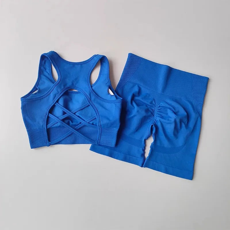 Conjunto feminino de 2 peças sem costuras — top desportivo sexy e calções de cintura alta para treino, fitness e ginásio.
