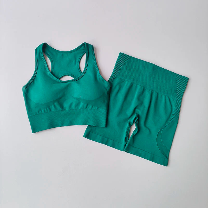 Conjunto feminino de 2 peças sem costuras — top desportivo sexy e calções de cintura alta para treino, fitness e ginásio.