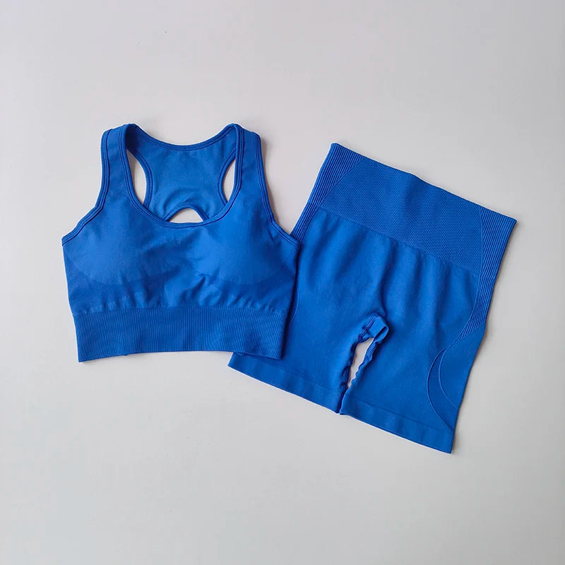 Conjunto feminino de 2 peças sem costuras — top desportivo sexy e calções de cintura alta para treino, fitness e ginásio.