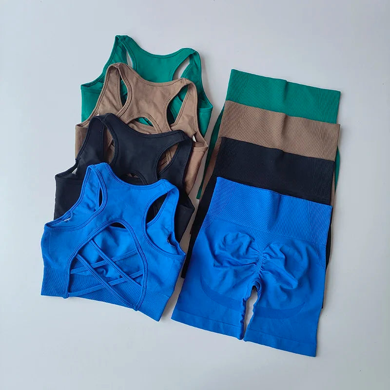 Conjunto feminino de 2 peças sem costuras — top desportivo sexy e calções de cintura alta para treino, fitness e ginásio.