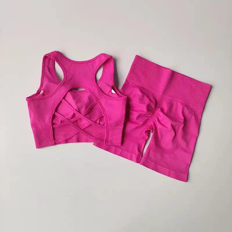 Conjunto feminino de 2 peças sem costuras — top desportivo sexy e calções de cintura alta para treino, fitness e ginásio.