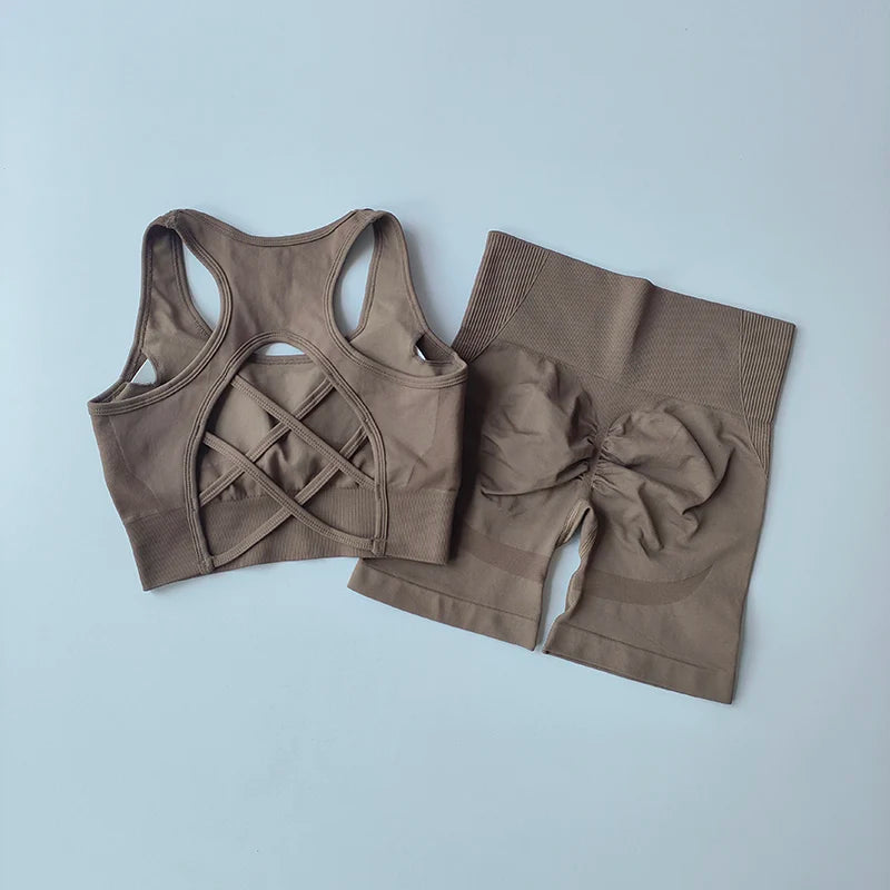 Conjunto feminino de 2 peças sem costuras — top desportivo sexy e calções de cintura alta para treino, fitness e ginásio.